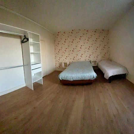 Agreable Maison De Ville Avec Jardin 圣迪济耶 外观 照片